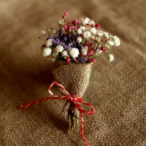 Buchețel nemuritor multicolor