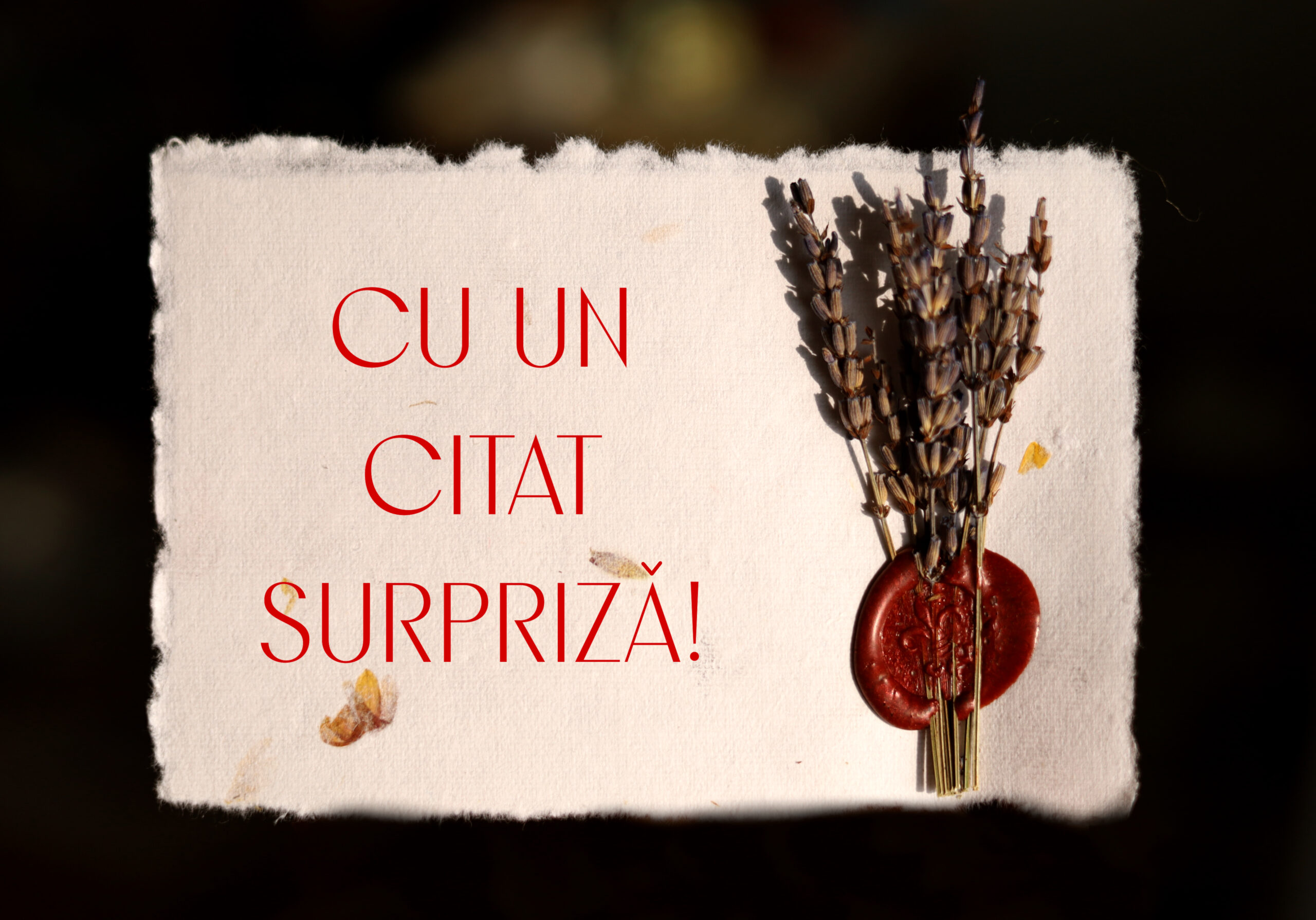 Răvaș cu flori și cuvinte nemuritoare - imagine 4